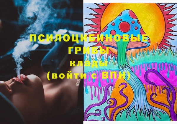 круглые Аркадак